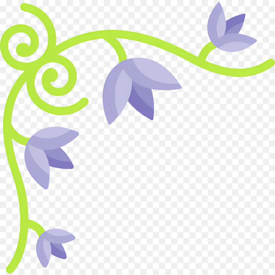 Fleur De Vigne，Vigne Verte PNG