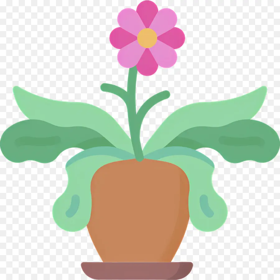 Fleur De Marguerite，Fleur Rouge PNG