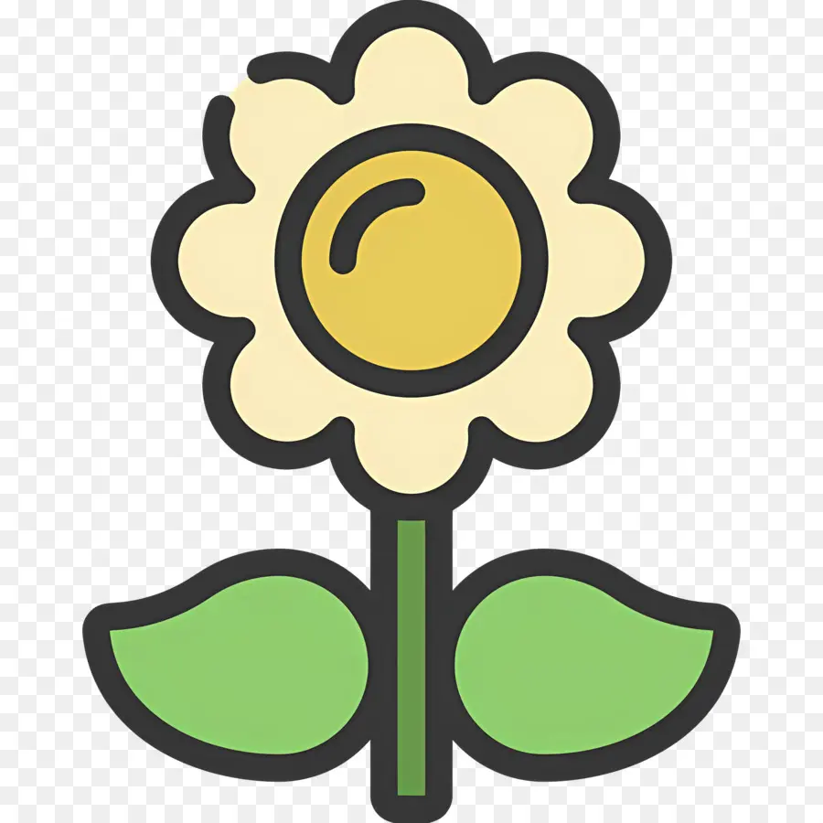 Fleur De Marguerite，Fleur Jaune PNG