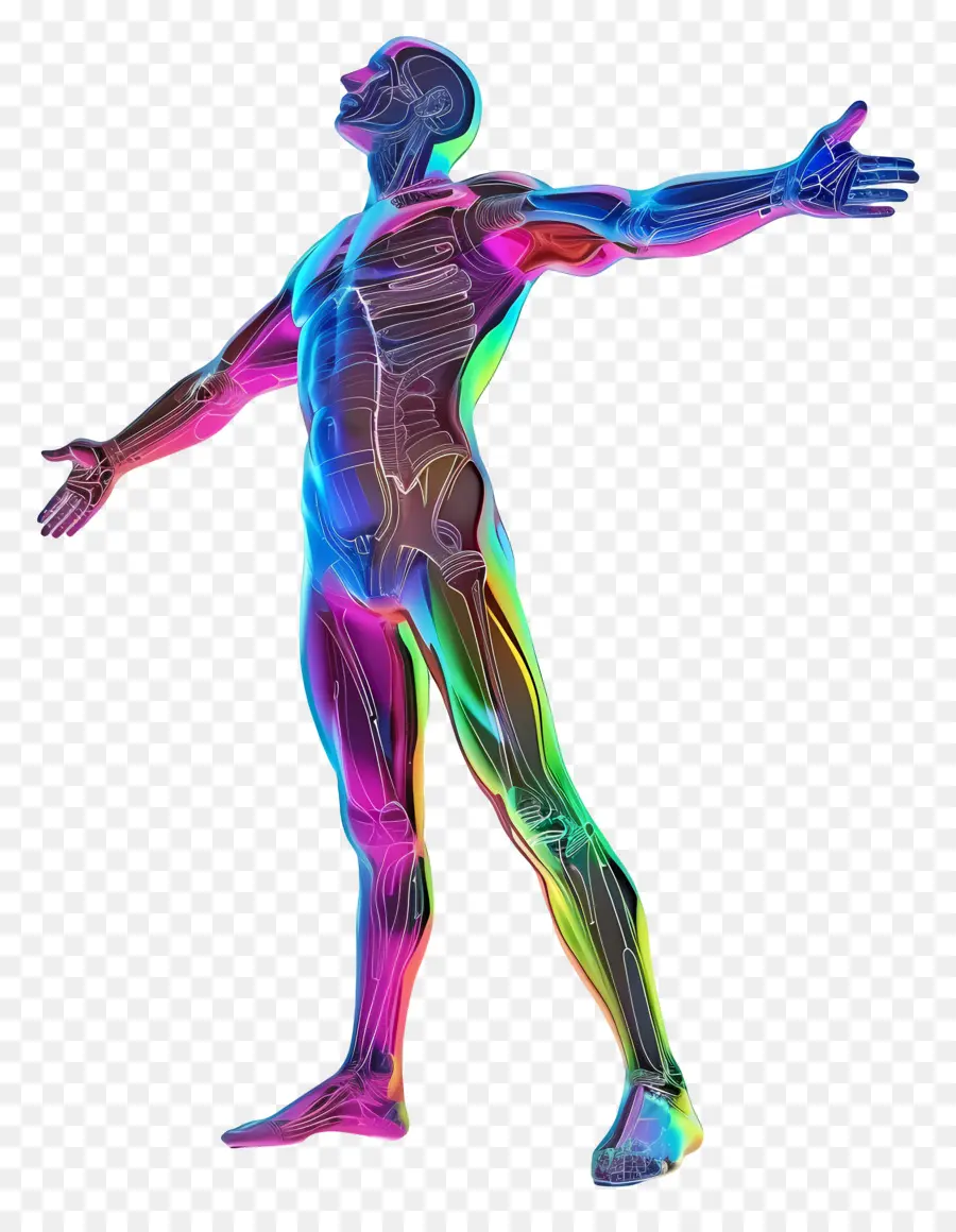 Homme 3d，Figure Humaine Colorée PNG