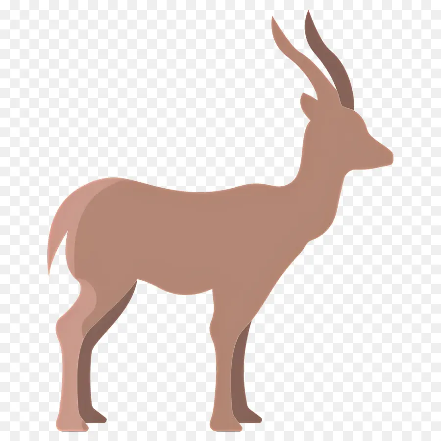 Gazelle，Cerf PNG