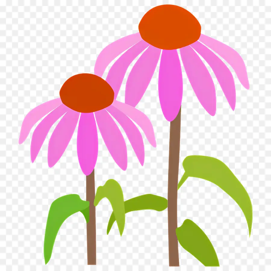 Fleur Violette，Fleur PNG