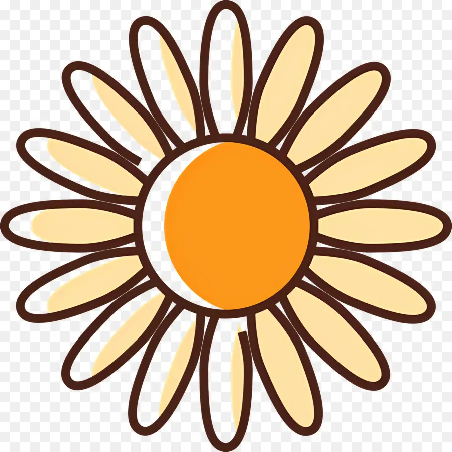 Fleur De Marguerite，Tournesol PNG