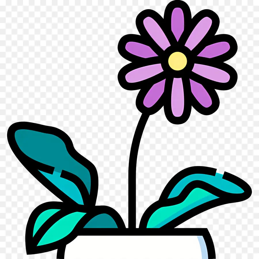 Fleur De Marguerite，Fleur Violette PNG