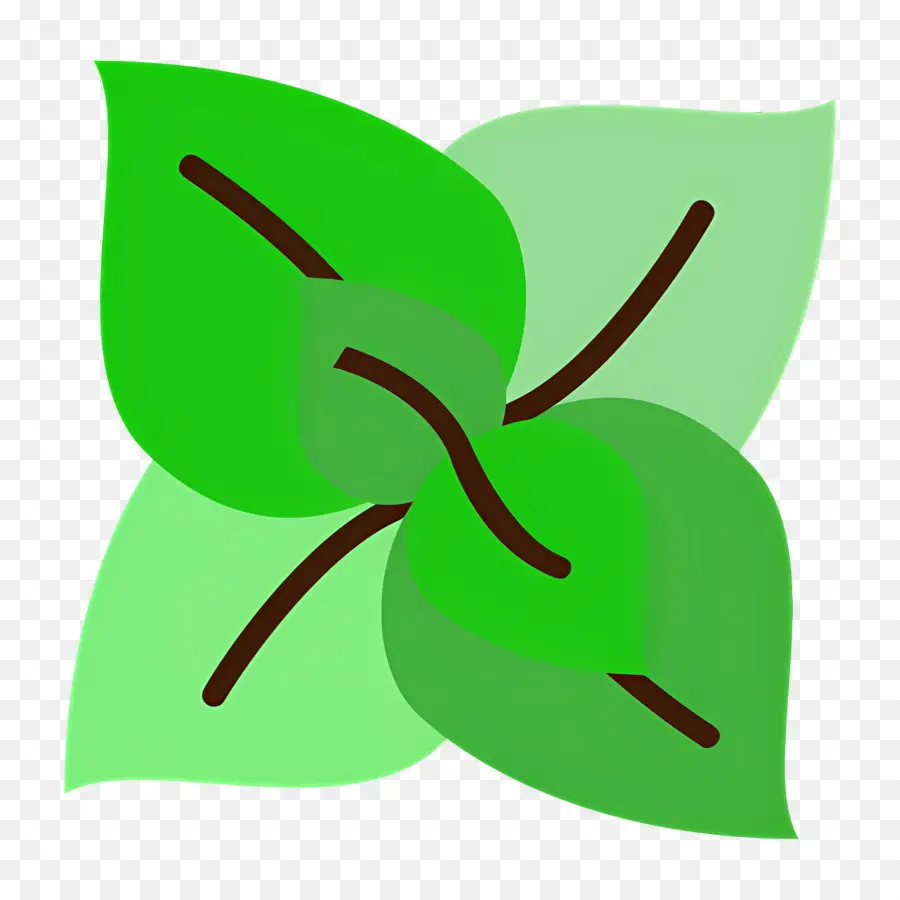 Basilic，Feuilles PNG