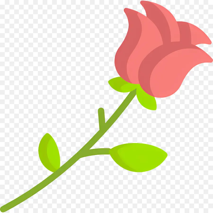 Fleur Rouge，Rose PNG