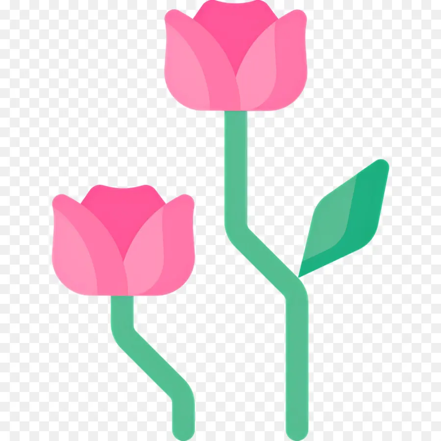 Fleur Rose，Tulipes Roses PNG