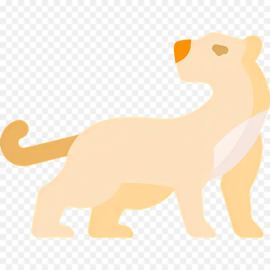 Puma，Lion PNG