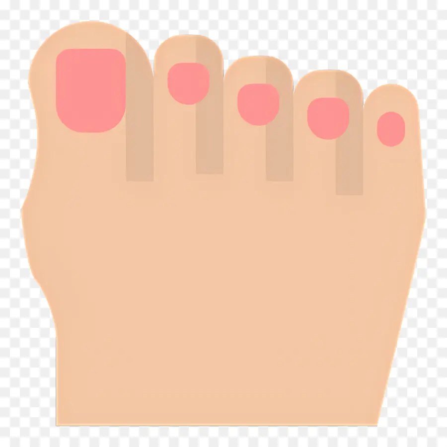 Orteil Du Pied，Pied PNG