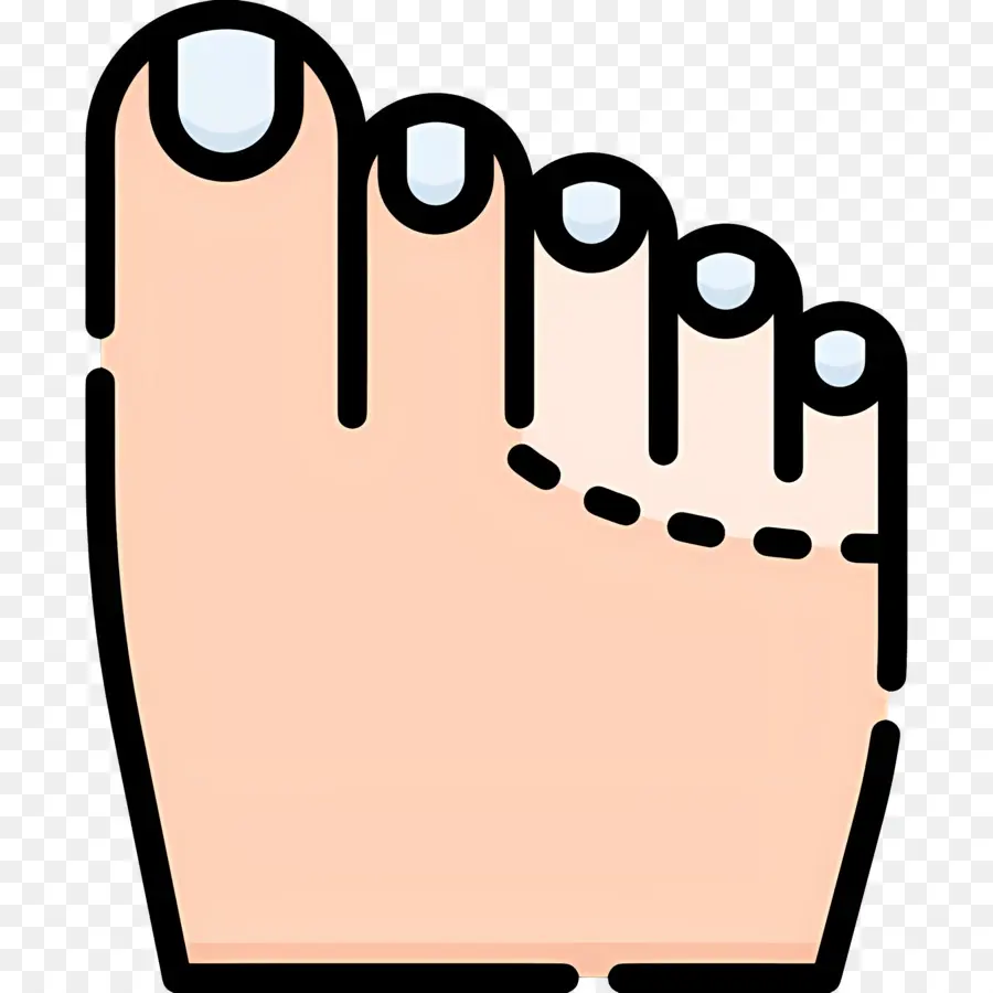 Orteil Du Pied，Pied PNG