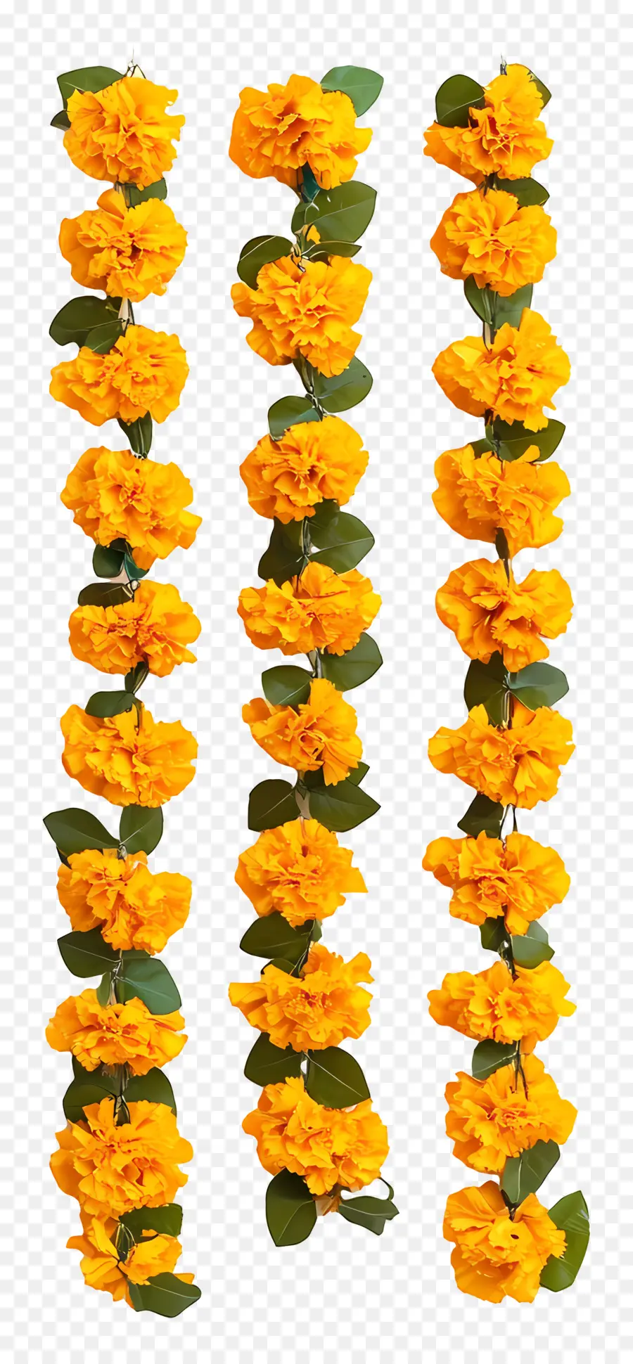 Guirlande Ougadi，Guirlande De Fleurs PNG