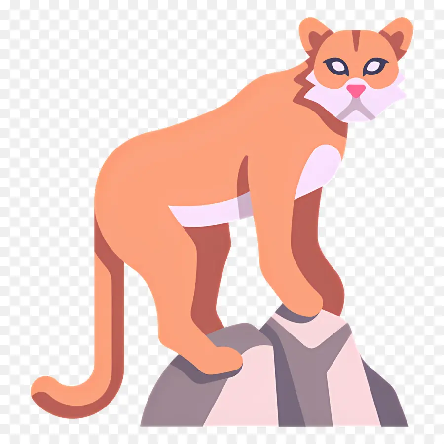 Puma，Lion De Montagne PNG