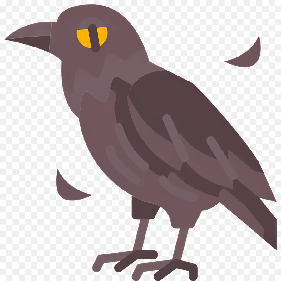 Corbeau，Oiseau Noir PNG