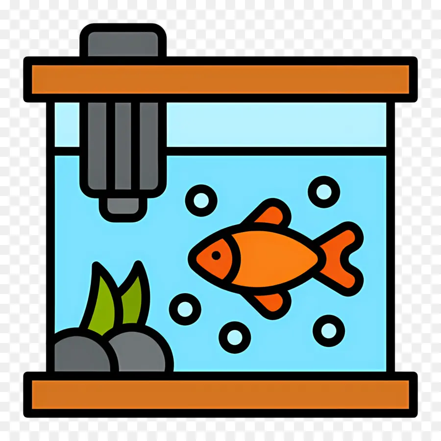 Aquarium，Animal De Compagnie PNG