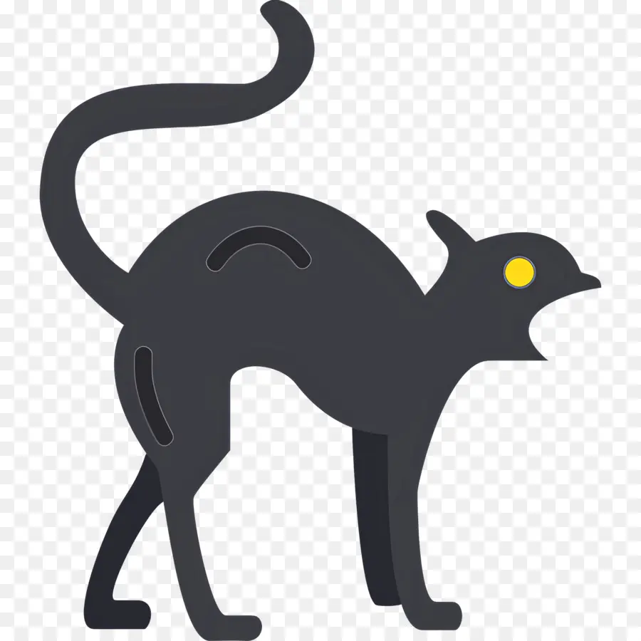 Chat D'halloween，Chat Noir PNG