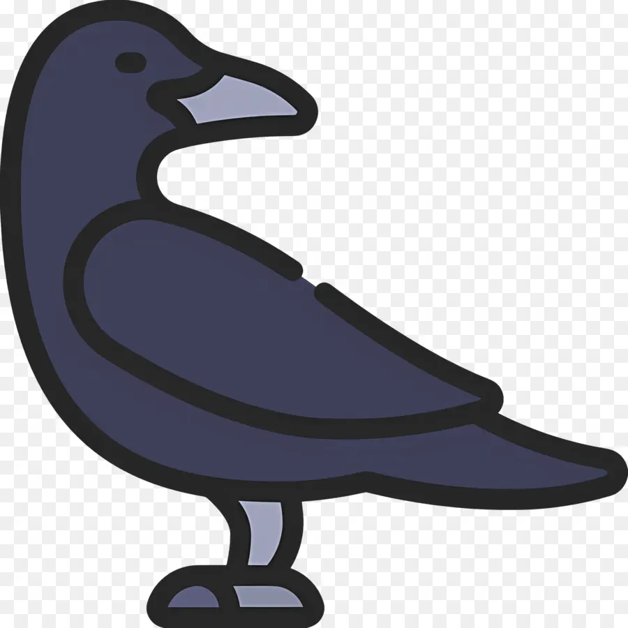 Corbeau，Oiseau Noir PNG