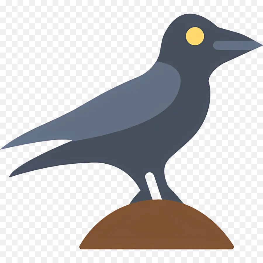 Corbeau，Corbeau Noir PNG