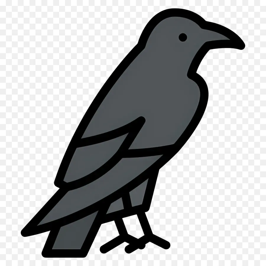 Corbeau，Oiseau Gris PNG