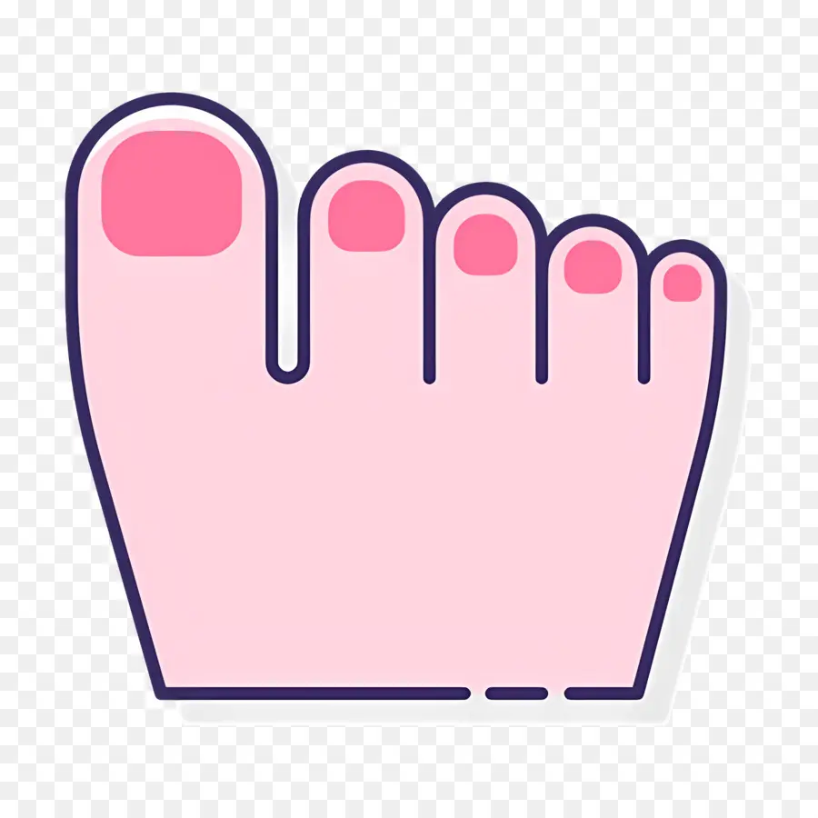 Orteil Du Pied，Pied PNG