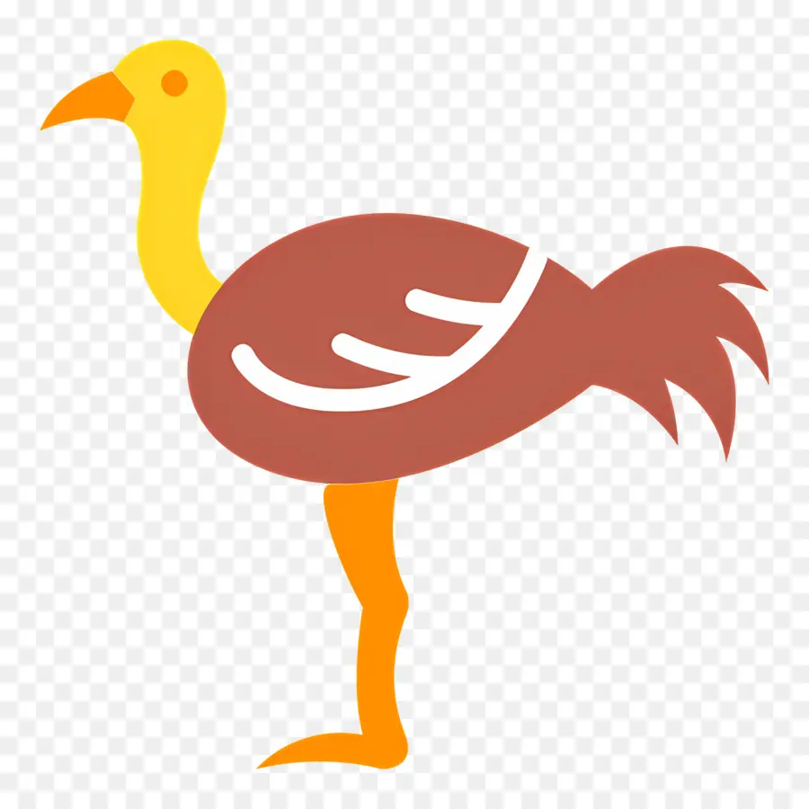 Autruche，Canard PNG