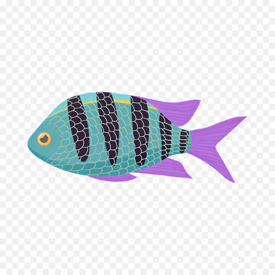 Poisson Tropical，Poisson PNG