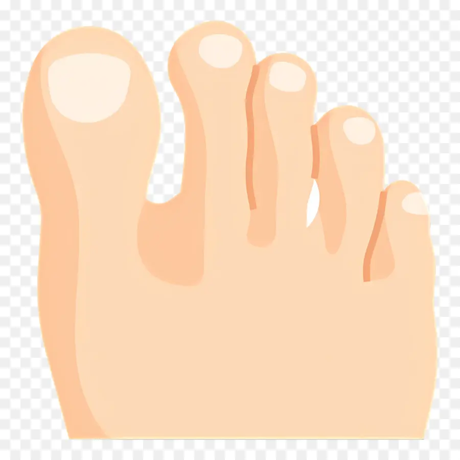 Orteil Du Pied，Pied PNG