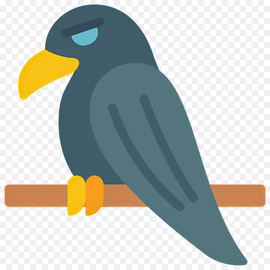 Corbeau，Oiseau Bleu PNG