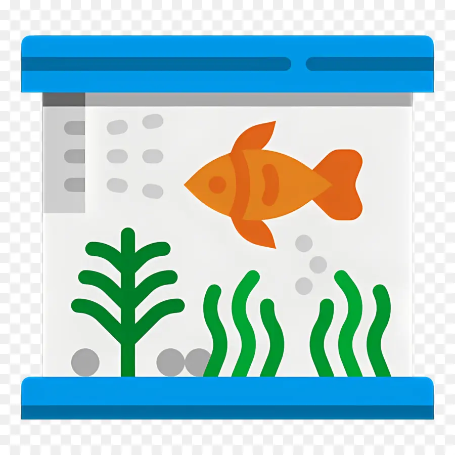 Aquarium，Poisson PNG