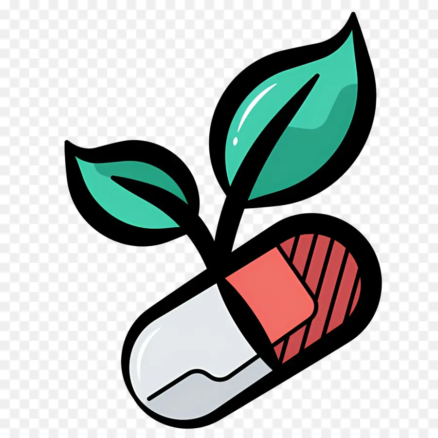 Capsule De Médicament，Gélule à Base De Plantes PNG