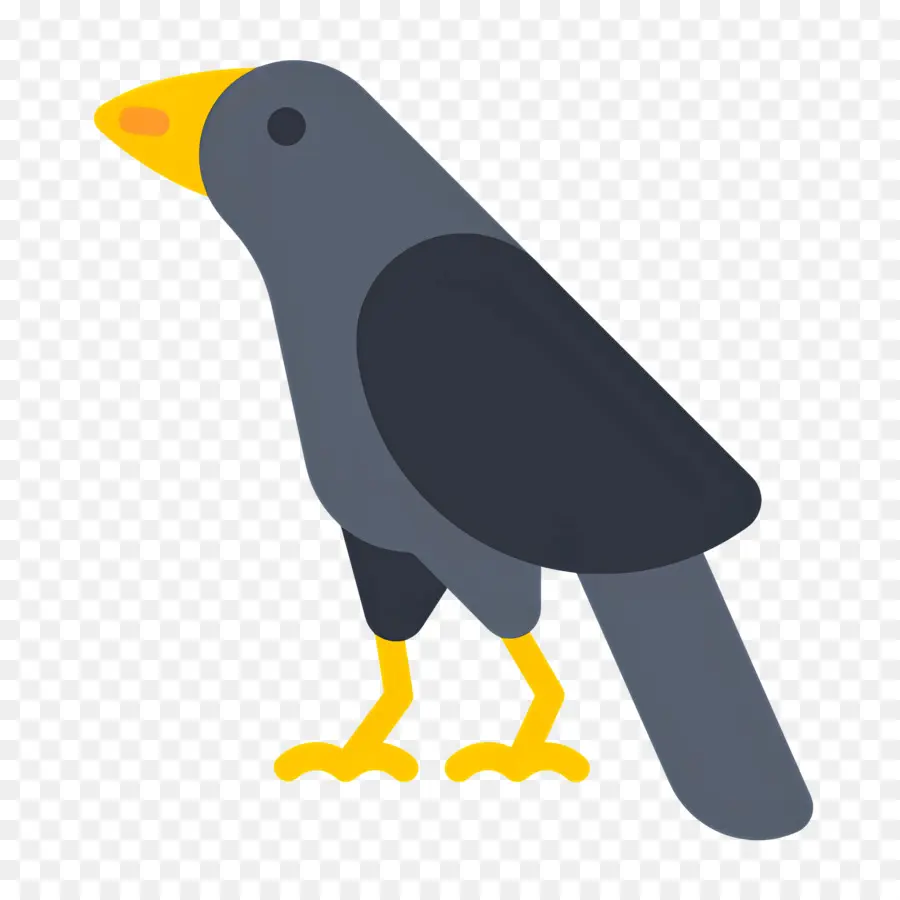 Corbeau，Oiseau Gris PNG