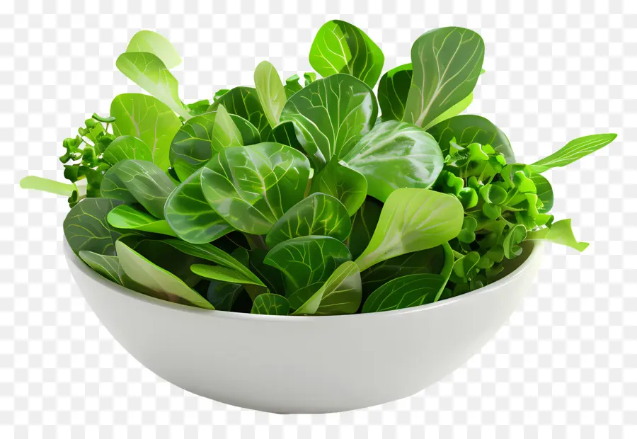 Salade Verte，Saladier PNG