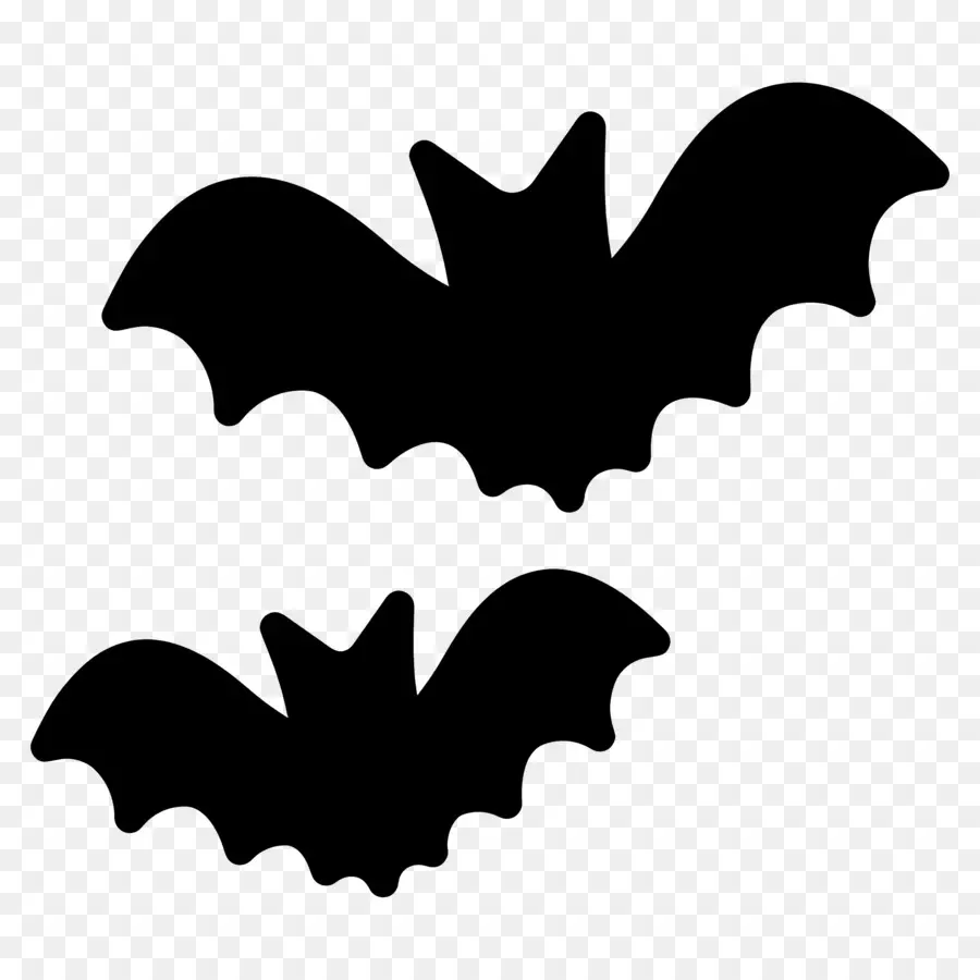 Chauve Souris D'halloween，Chauves Souris PNG