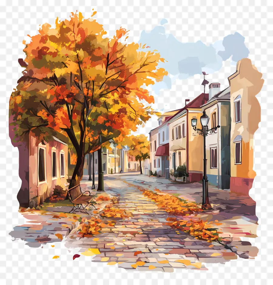 Rue D'automne，Arbres PNG