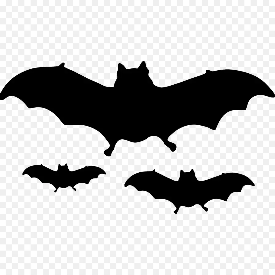 Chauve Souris D'halloween，Chauves Souris PNG