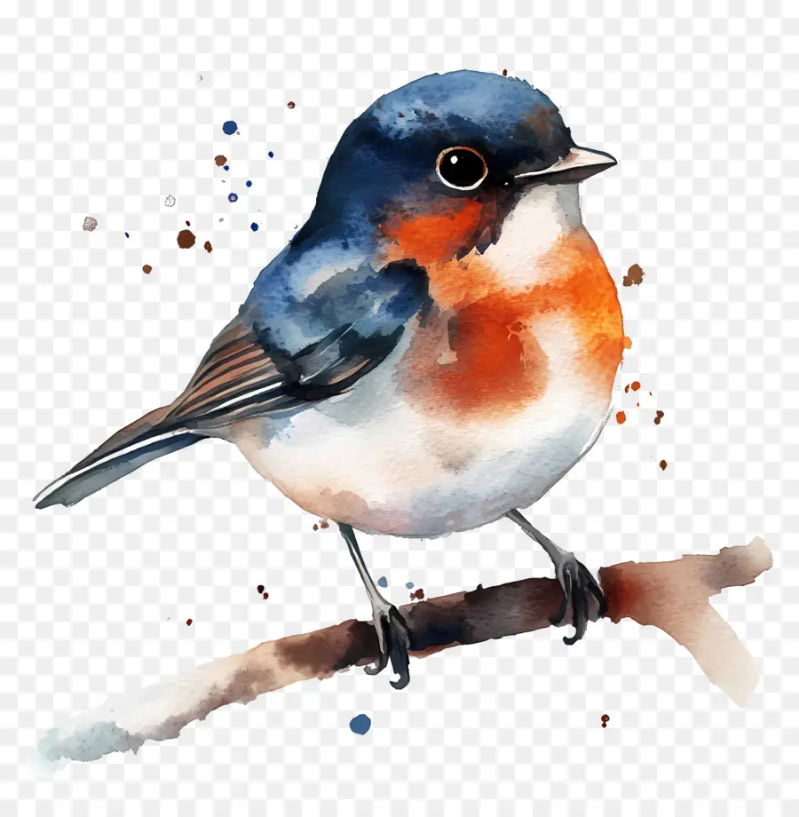 Oiseau Aquarelle，Oiseau Bleu Et Orange PNG