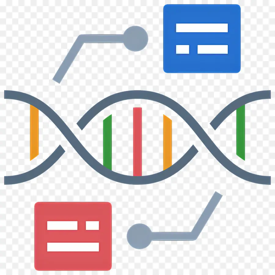 Science Des Données，Brin D'adn PNG