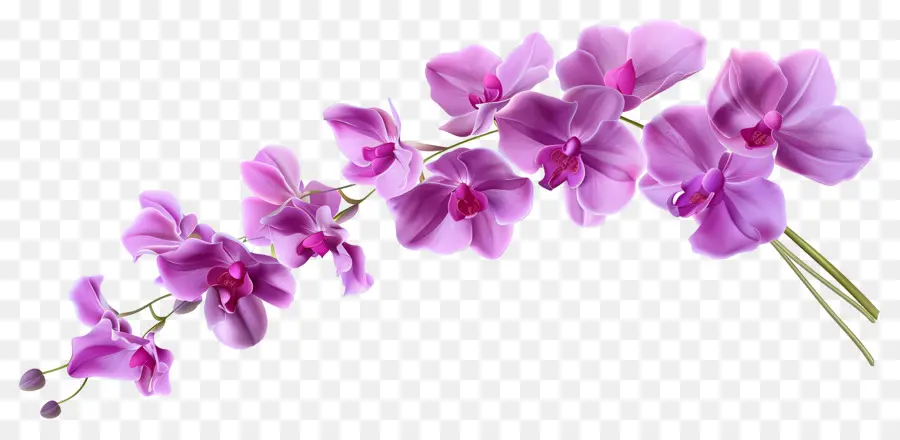 Fleur D'orchidée，Fleurs Violettes PNG