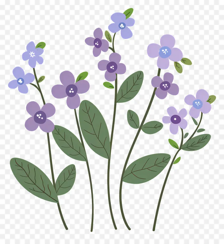 Petite Fleur，Fleurs Violettes PNG