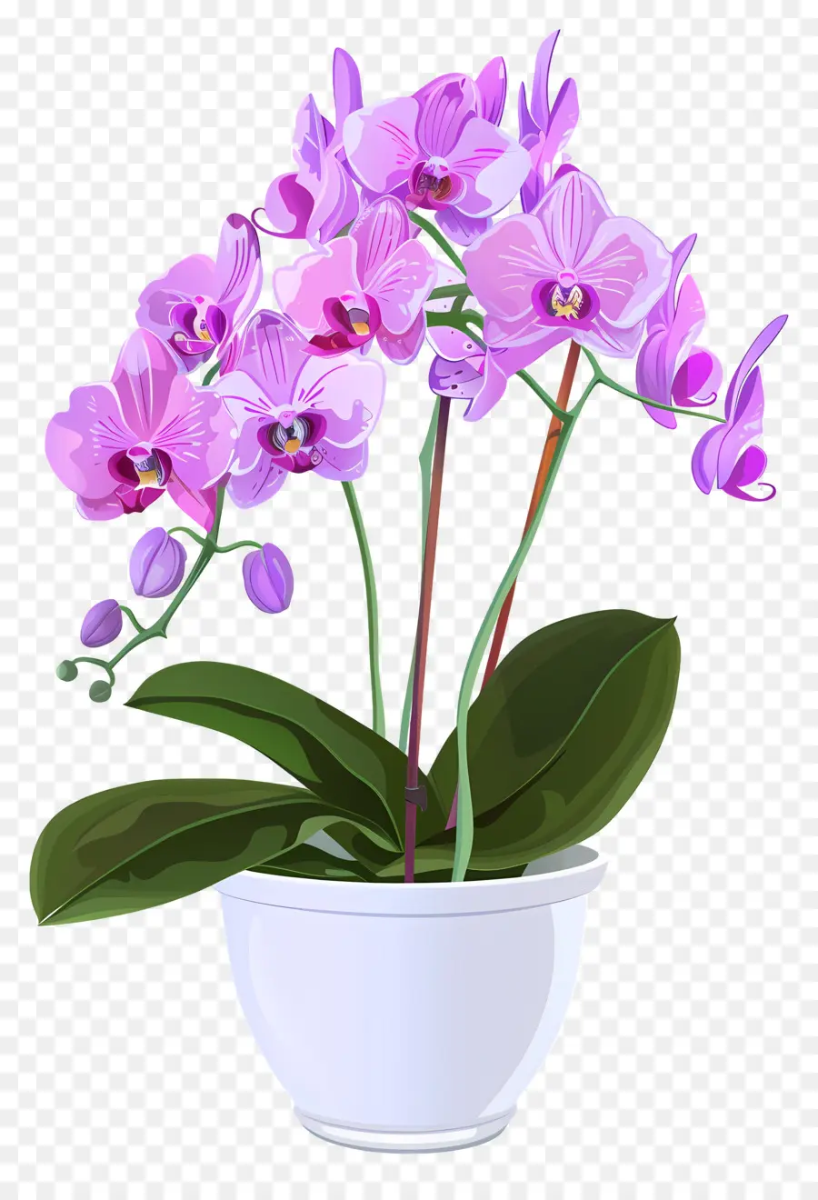 Fleur D'orchidée，Orchidée Orange PNG