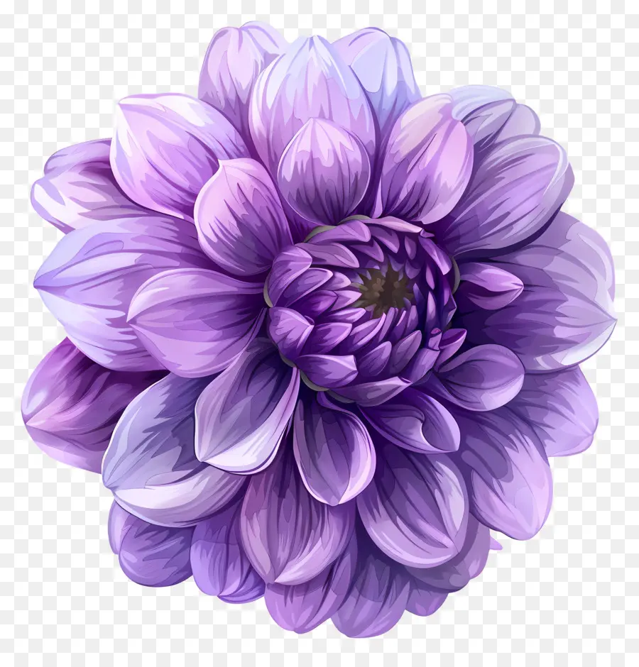 Fleur De Dahlia，Fleur Violette PNG