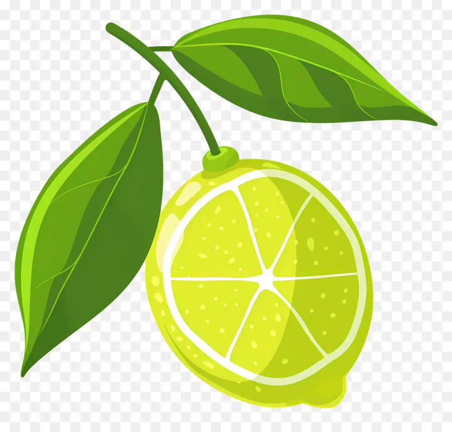 Citron Vert，Citron PNG