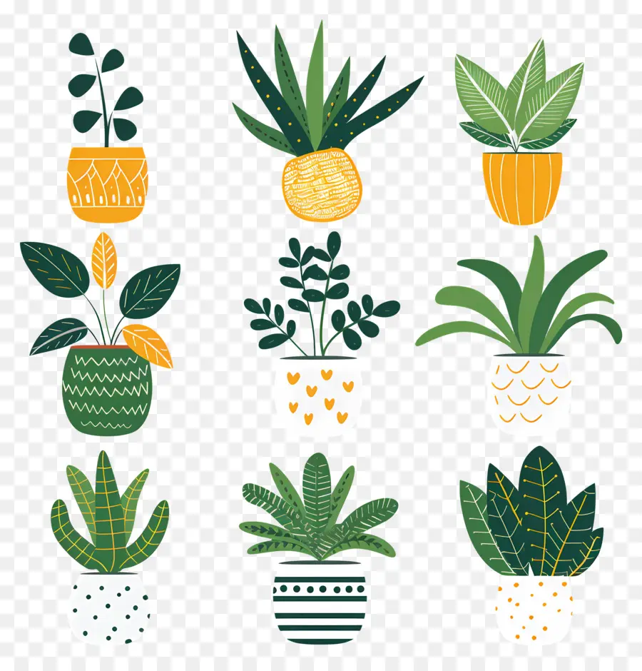 Fleurs En Pots，Plantes En Pot PNG