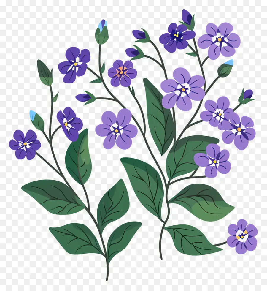 Petite Fleur，Fleurs Violettes PNG