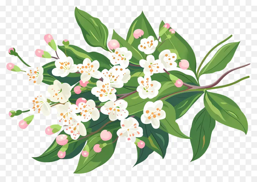 Petite Fleur，Fleurs Blanches Et Feuilles Vertes PNG