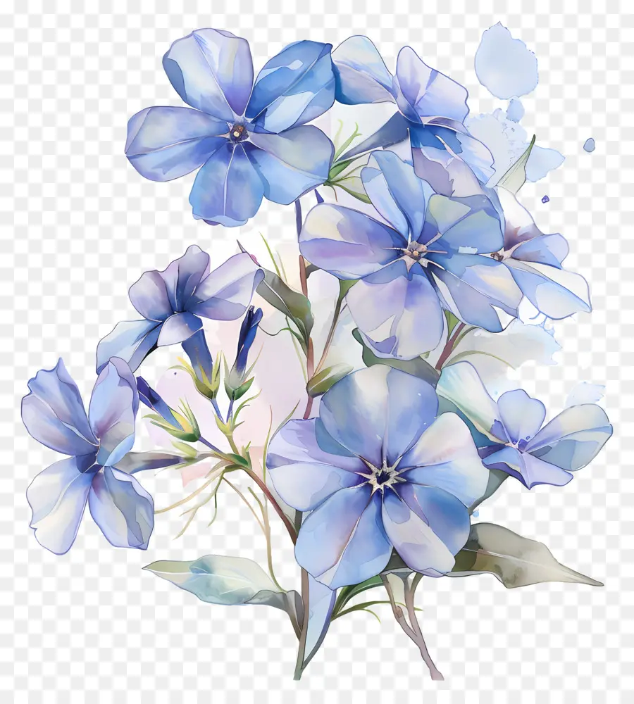 Petite Fleur，Fleurs Bleues PNG