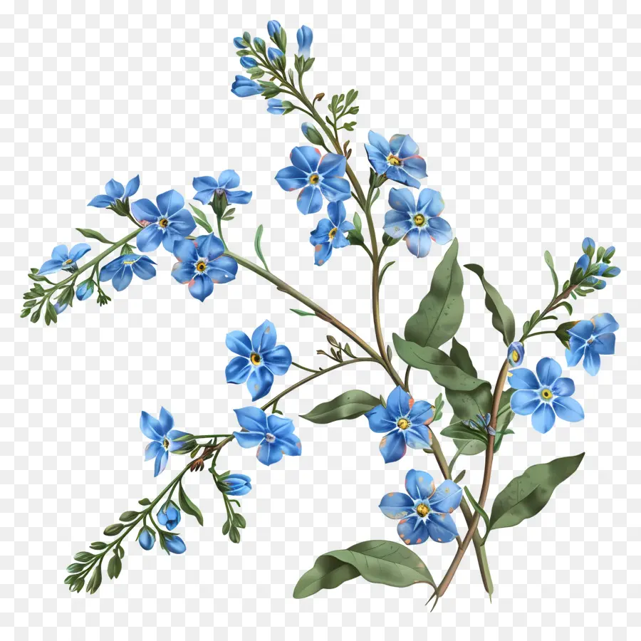 Petite Fleur，Fleurs Bleues PNG