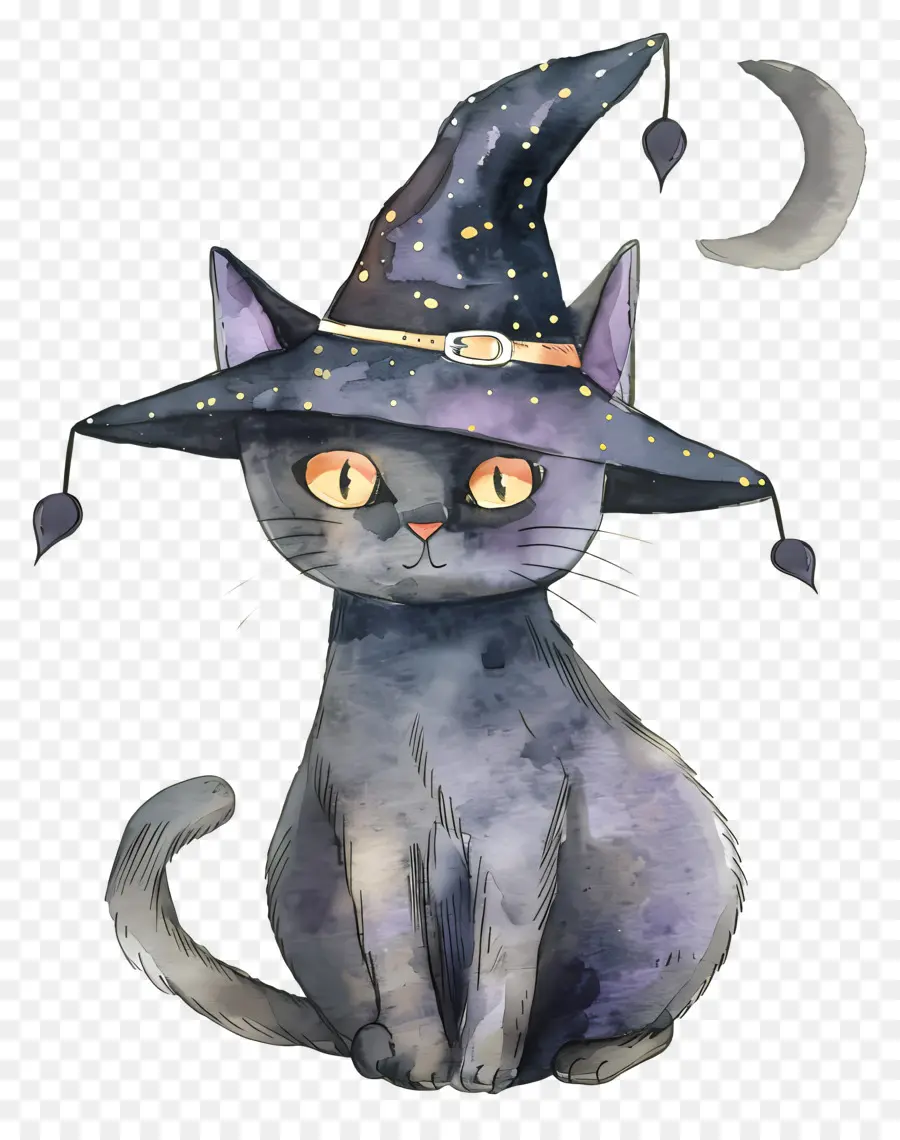 Chat D'halloween，Chat Noir Avec Chapeau De Sorcière PNG