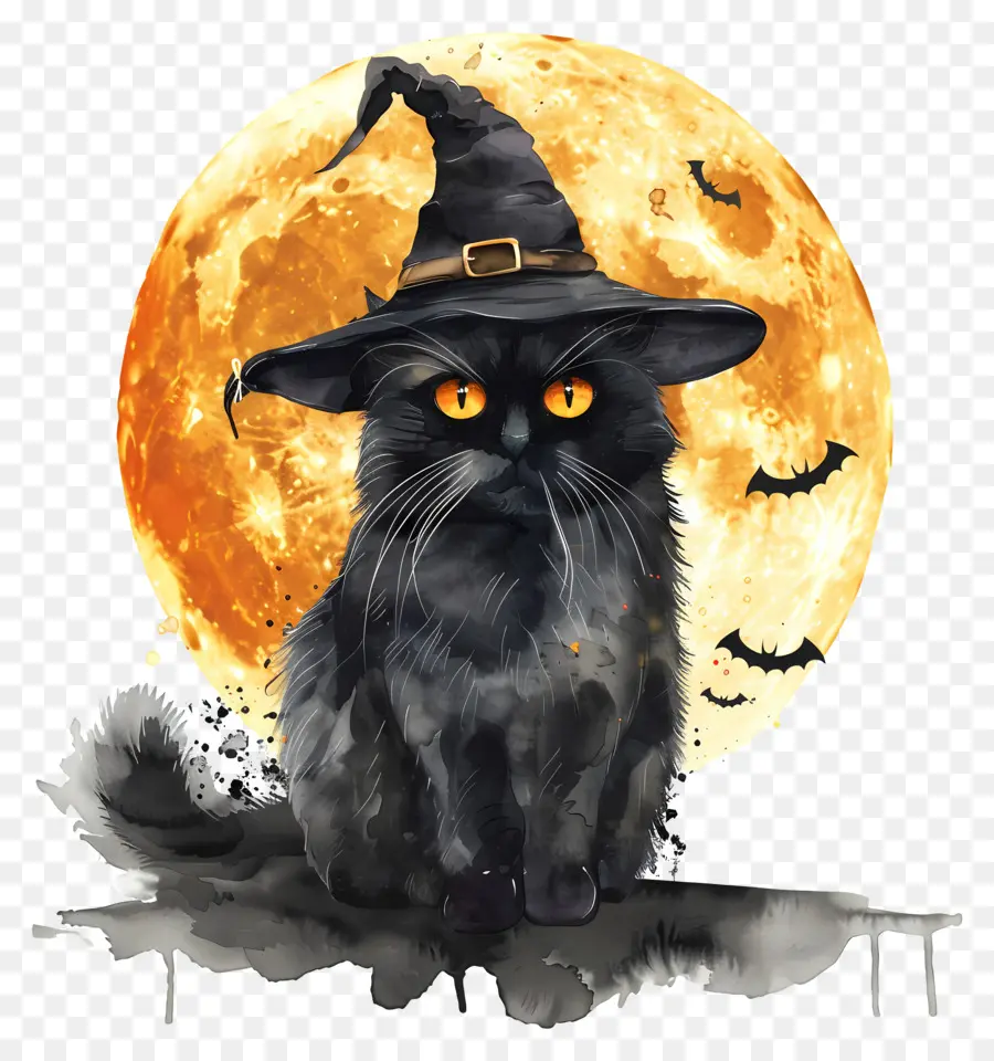 Chat D'halloween，Chat Noir PNG