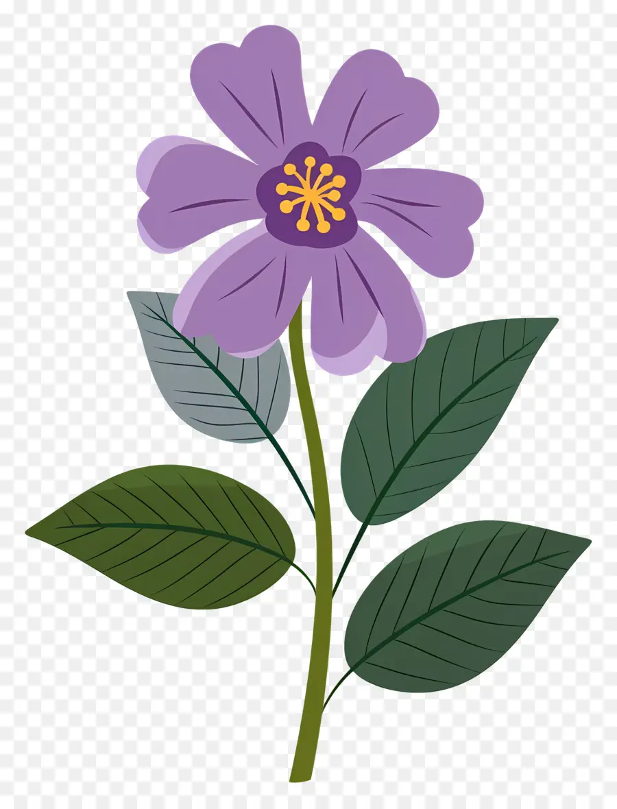 Petite Fleur，Fleur Violette PNG