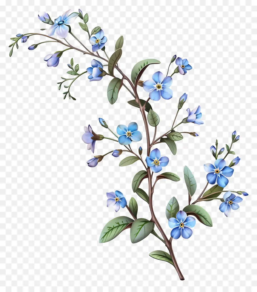 Petite Fleur，Fleurs Bleues PNG